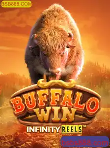 Descubra Tudo Sobre BuffaloWin no BSB888.COM